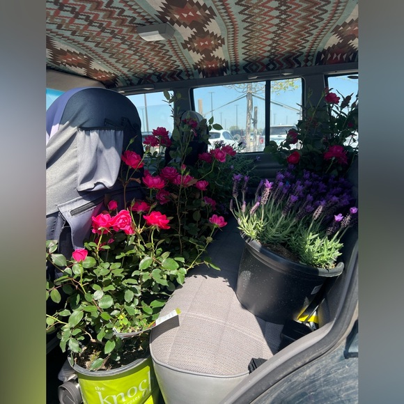 Meet your Posher, Angelica - Picture 4 of 5